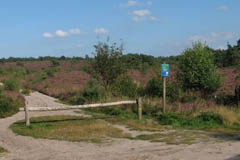Staatsbosbeheer